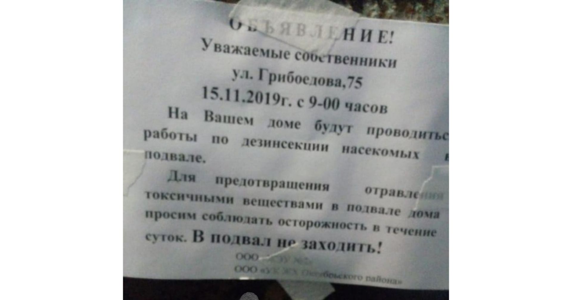 Новосибирцы пожаловались на управляющую компанию, устроившую живодёрню |  Ведомости законодательного собрания НСО